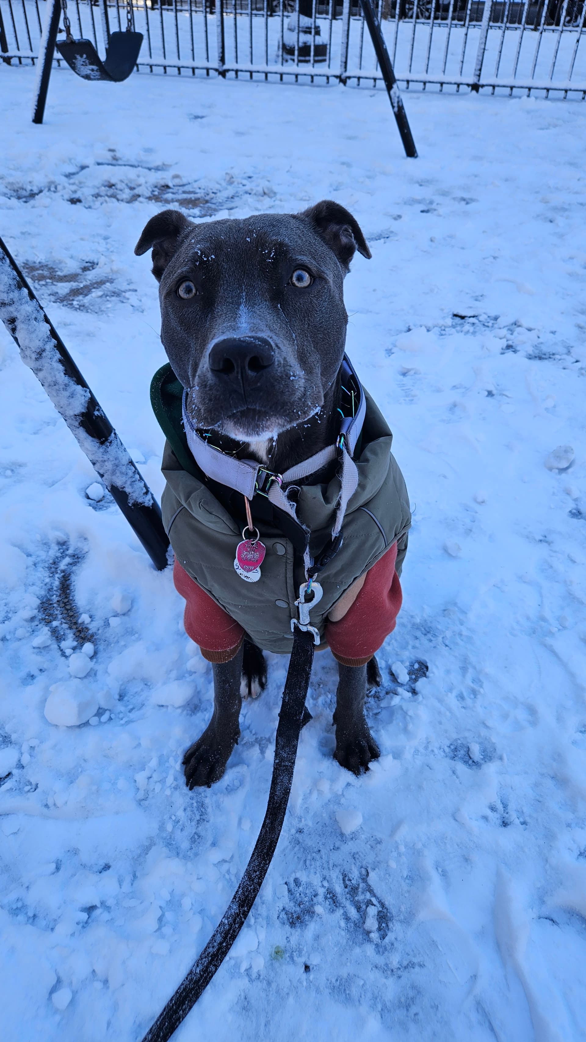 Profile photo of @ltorres